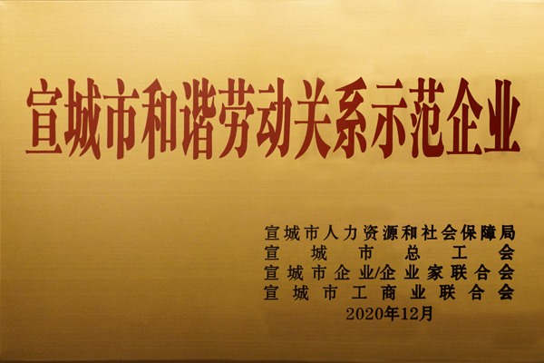宣城市和諧勞動關系示范企業