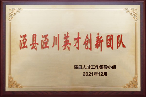 涇縣涇川英才創新團隊